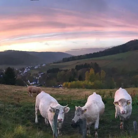 Familie Willems 2 Incl Sauerland Sommercard Winterberg