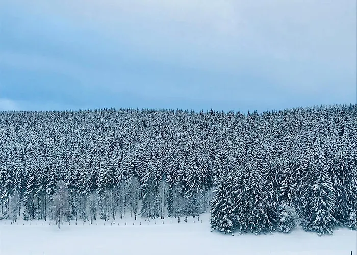 Familie Willems 2 アパート ヴィンターベルク