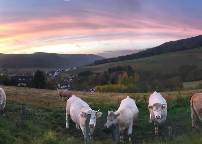 Familie Willems 2 ヴィンターベルク